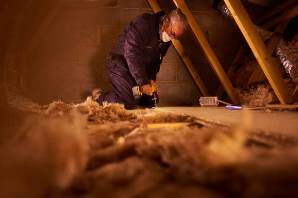 Best Insulation Replacement Services  in Orchard Hills, PA